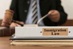 How to Choose an Immigration Lawyer: Everything You Need to Know