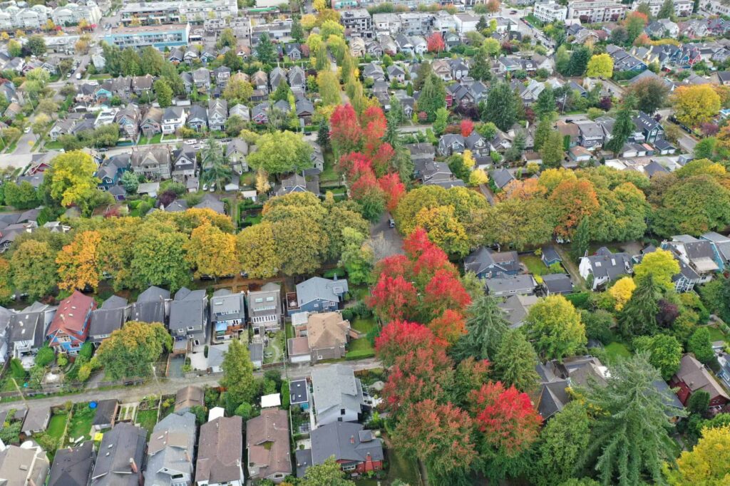 The Role of Tree Removal in Maintaining a Safe and Healthy Urban Environment