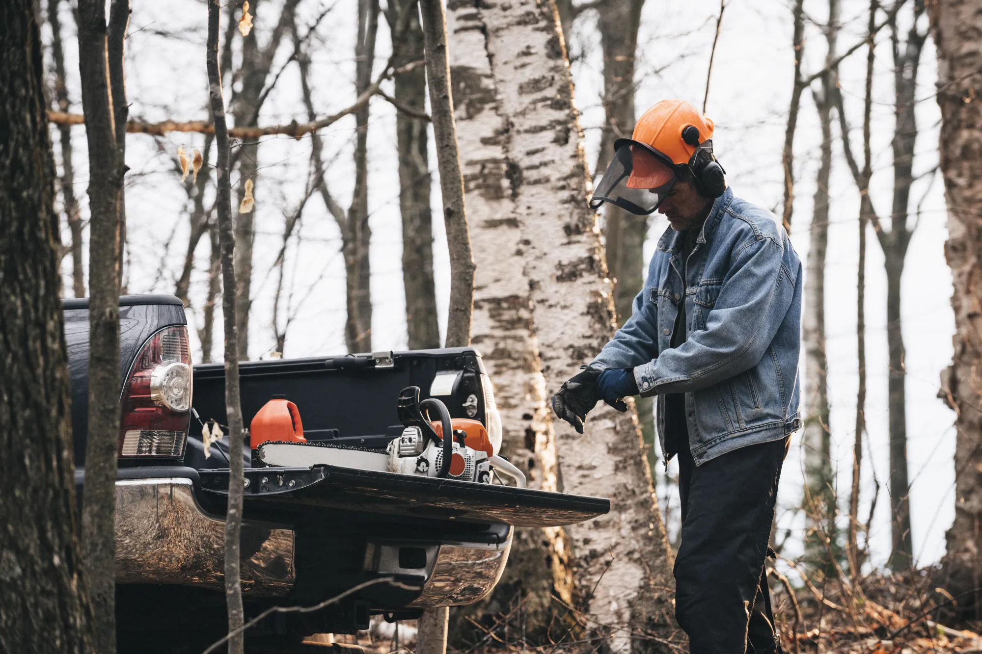 Essential Tree Cutting Safety Equipment: Protecting Yourself During Tree Care