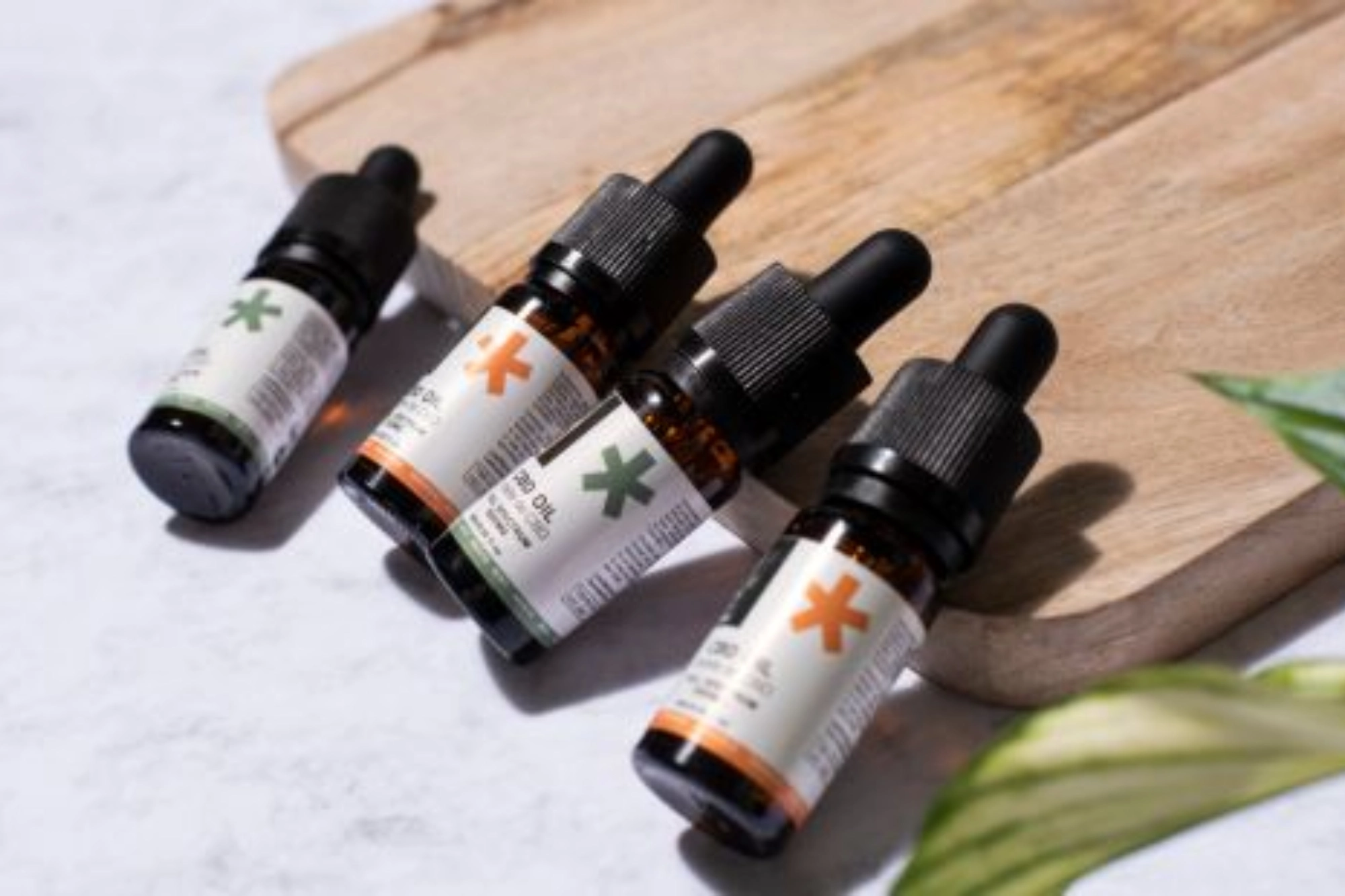 Exploring the Benefits of CBD: A Wellness Revolution at New Fine Arts in Dallas