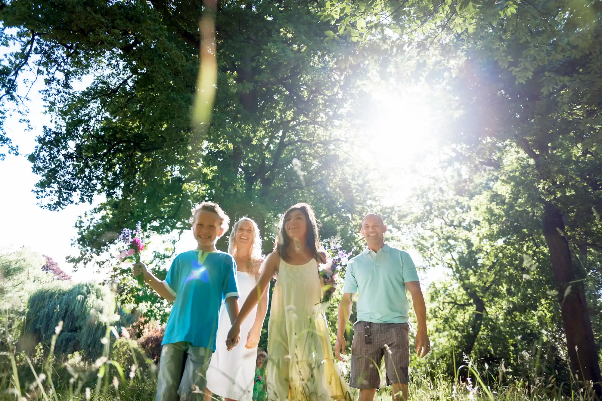 Summer Tree Care: 4 Tips to Prepare Your Trees for the Summer