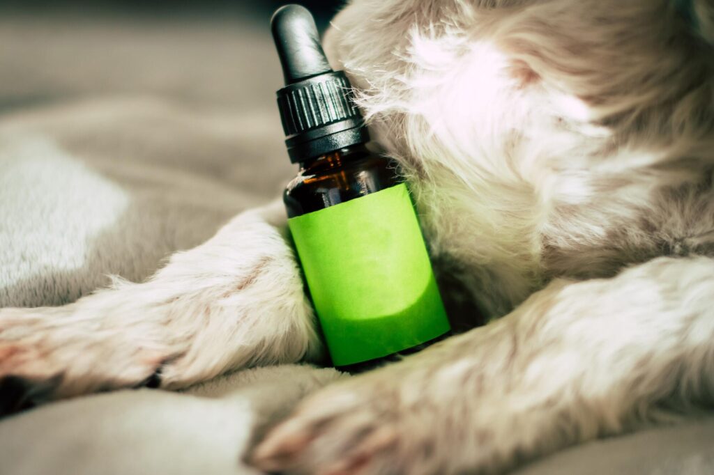 Smarter and Sustainable Smoking Options With Refillable CBD E-liquid