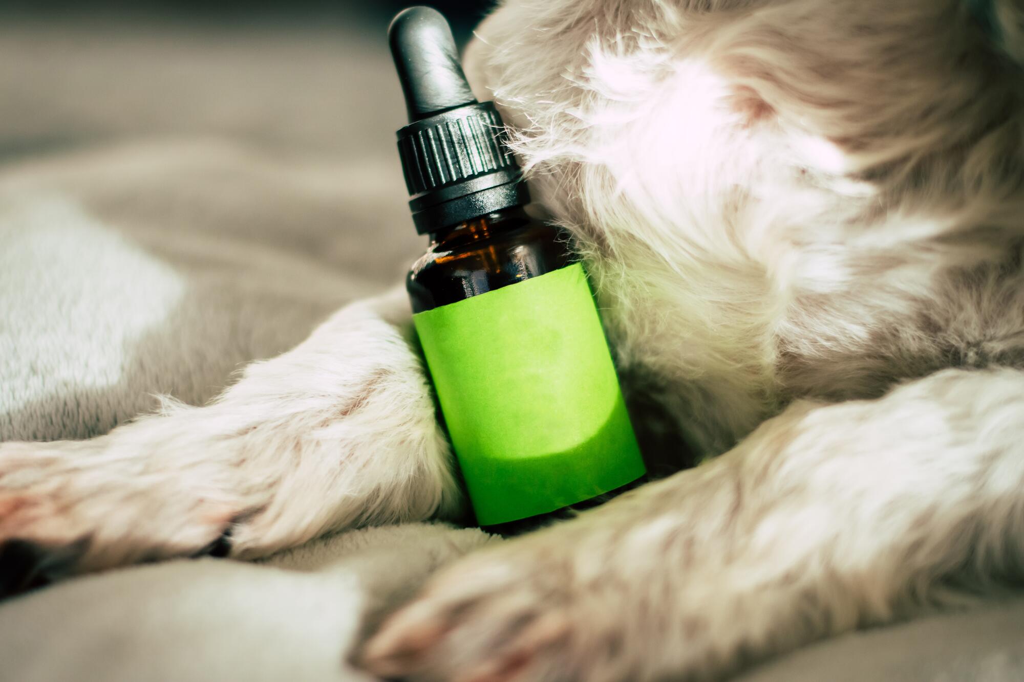 Smarter and Sustainable Smoking Options With Refillable CBD E-liquid