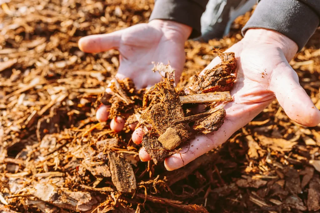 Why Mulching Matters More in the Fall