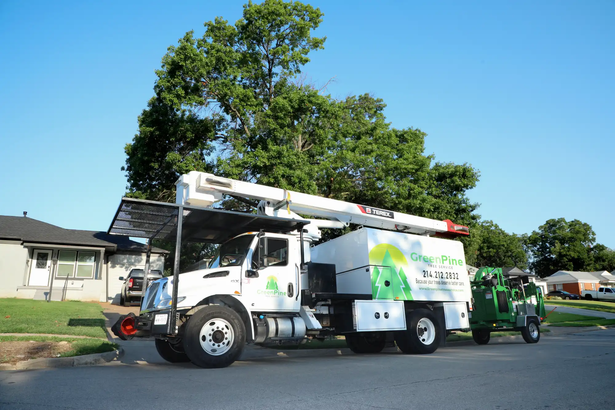 5 Reasons You Should Call Green Pine Tree Service for Pine Tree Care
