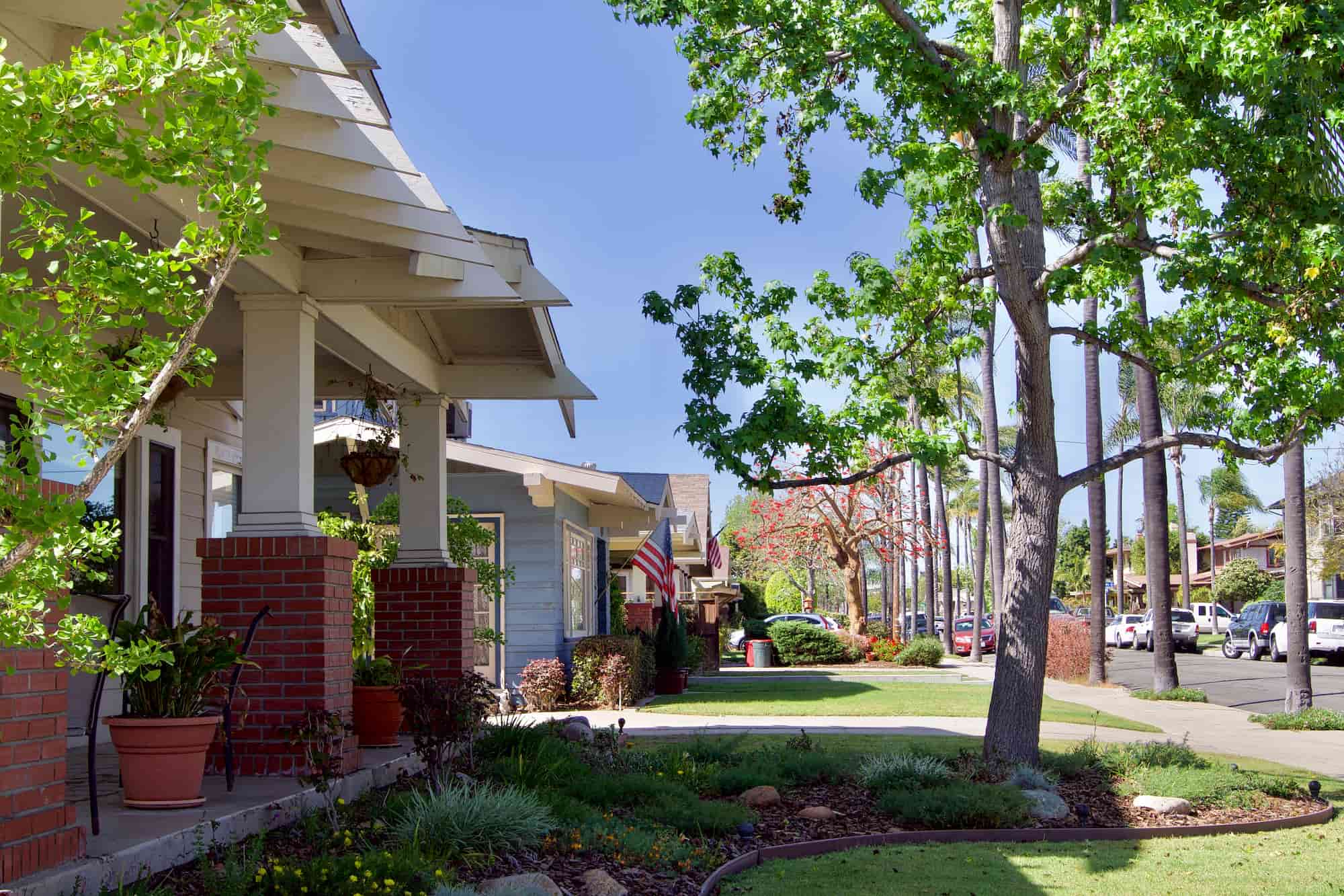 Tree Care Resolutions: Prepping Your Landscape for the New Year